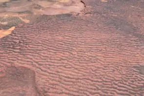Rippled Rock Surfaces of Devils Island